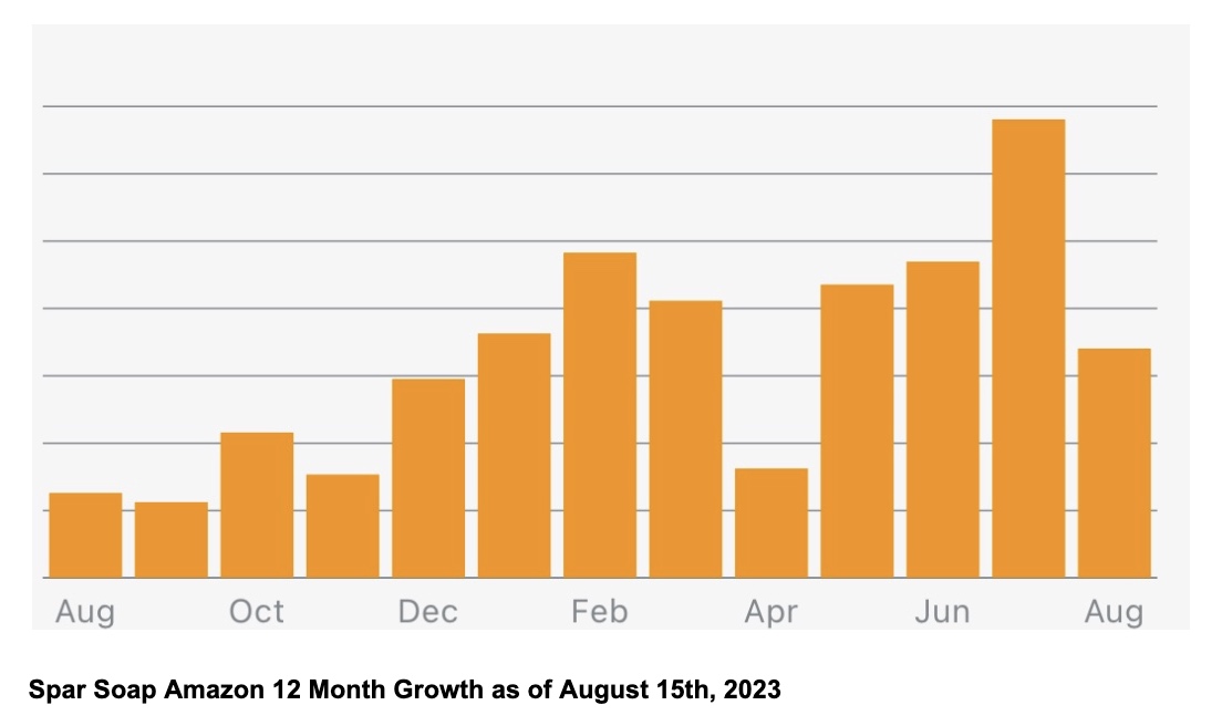 Graph showcasing SparSoap business revenue growth by 7 times within the first year working with DumbOldSpider LLC Digital Services